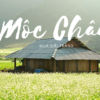 Tour du lịch Mộc Châu 2 ngày 1 đêm [Mới]